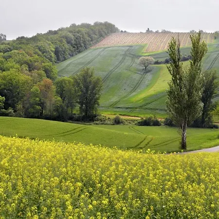 Le Hameau Du Avec Piscine Dans Résidence, ,appart Classé 1 étoile Hébergement de vacances Marciac